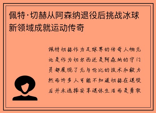 佩特·切赫从阿森纳退役后挑战冰球新领域成就运动传奇 佩特·切赫从阿森纳退役后挑战冰球新领域成就运动传奇